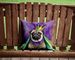 Pug King Of Mardi Gras Throw Pillow Machine Washable, Indoor Outdoor Decorative Pillow For Couch, Bed Or Patio, 14Hx14W_maomaolike.com