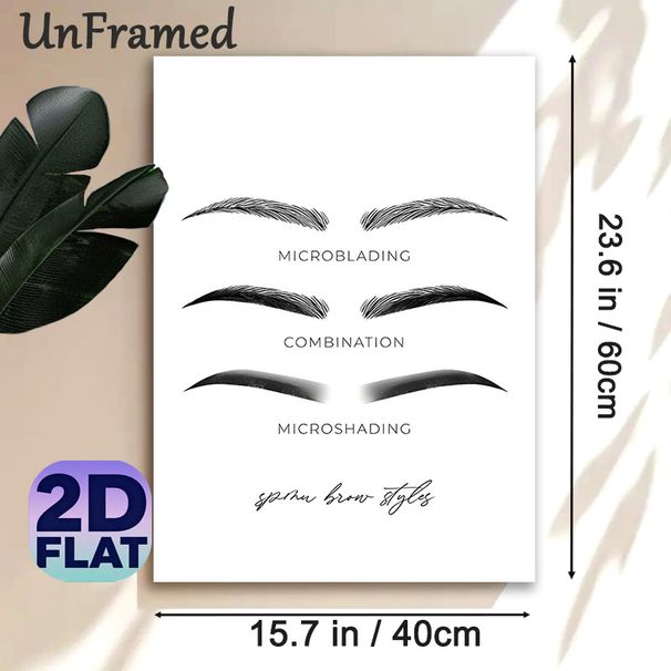 PMU Brow Styles Painting Poster, Minimalist Monochrome Line-art & Shaded Brow Styles Poster, Clearly Displays Microblading, Combination & Microshading_maomaolike.com