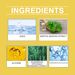 Ximonth Plant Essence Mosquito Repellent Spray Household Toilet Water Camping Outdoor Sports Mosquitoes Do Not Bite Mosquito Repellent_maomaolike.com