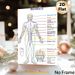 Meridian Chart Painting Poster, Clear Color-coded Human Meridian Map Poster, Informative Reference For Traditional Chinese Medicine Learning, Suitable_maomaolike.com