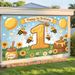 1st Birthday Party Banner - 2D Flat Polyester Backdrop, Wall Hanging Photo Props, Baby Birthday Party Decor_maomaolike.com