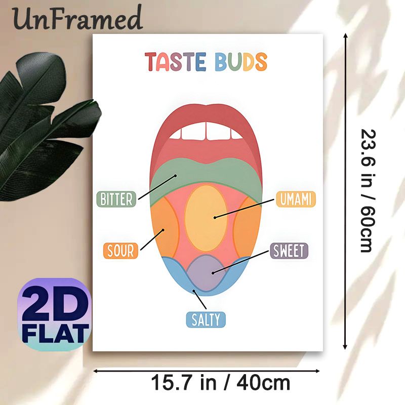 Taste Buds Themed Painting Poster, Vibrant Illustrated Tongue Taste Zones Poster, Informative Educational Decor Ideal For Kitchen, Dining Area Or_maomaolike.com