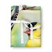 American Goldfinch Apron Cooking Kitchen Server Baking Crafts Gardening For Adult Women Men, Unisex, Large, Multicolor_maomaolike.com