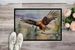 Hawk Doormat Front Door Mat Indoor Outdoor Rugs For Entryway, Non Slip Washable Low Pile, 24H X 36W_maomaolike.com