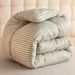 S Cotton Thickened Student Dormitory Construction Site Labor Protection Single Double Summer Cool Quilt Winter_maomaolike.com