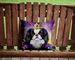 Japanese Chin King Of Mardi Gras Throw Pillow Machine Washable, Indoor Outdoor Decorative Pillow For Couch, Bed Or Patio, 14Hx14W_maomaolike.com
