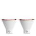 Stainless Steel Martini Glass, Set Of 2 - White_maomaolike.com