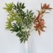 Cross-border Popular Artificial Fortune Leaves For Home Decor, Green Plant Arrangements, Wealth-attracting Displays,_maomaolike.com
