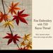 ThreadBloom Studio Autumn Maple Leaf Embroidered Tapestry, 100% Ramie Handwoven Fabric, 170cm Narrow Japanese-Inspired Wall Hanging Decor_maomaolike.com