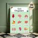 French-Labeled Human Organs Painting Poster, Bright Cartoon-style Anatomical Poster, Informative Design For Learning French Organ Terms, Ideal For_maomaolike.com