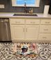 Rottweiler The Chef Memory Foam Kitchen Mat Machine Washable Anti-Fatigue Mat Cushion Comfort Bath Mat Or Kitchen Rug_maomaolike.com