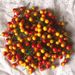 100 Pieces Of 12mm Artificial Foam Berries, Gold, Silver, Yellow, Red Cherry Pearl Fruit, Christmas Supplies Accessories_maomaolike.com