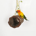 Handmade Nest Outdoor Simulated Habitat Bird House Toad Rattan Kindergarten DIY Home Decoration Forest Style_maomaolike.com