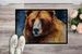 Kodiak Bear Doormat Front Door Mat Indoor Outdoor Rugs For Entryway, Non Slip Washable Low Pile, 24H X 36W_maomaolike.com