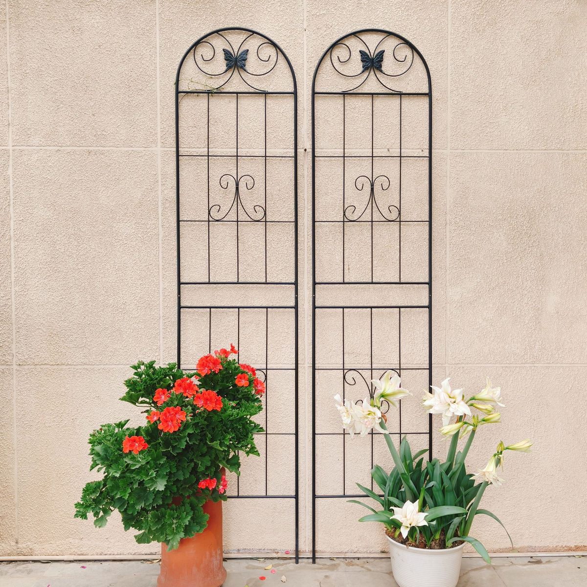 2 Pack Metal Garden Trellis 86.7" X 19.7" Rustproof Trellis For Climbing Plants Outdoor Flower Support Black_maomaolike.com