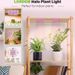 LED Plant Growth Lamp Flower Stand Green Plant Succulent Potted Plant Fill Light Full Spectrum Ceiling Plant Lamp_maomaolike.com