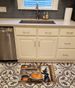 Pug Fall Kitchen Pumpkins Memory Foam Kitchen Mat Machine Washable Anti-Fatigue Mat Cushion Comfort Bath Mat Or Kitchen Rug_maomaolike.com