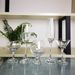 tail Personalized Bar Martini Internet Celebrity Highball Cup Set Champagne Glass Liquor_maomaolike.com