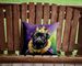 Black Pug King Of Mardi Gras Throw Pillow Machine Washable, Indoor Outdoor Decorative Pillow For Couch, Bed Or Patio, 14Hx14W_maomaolike.com