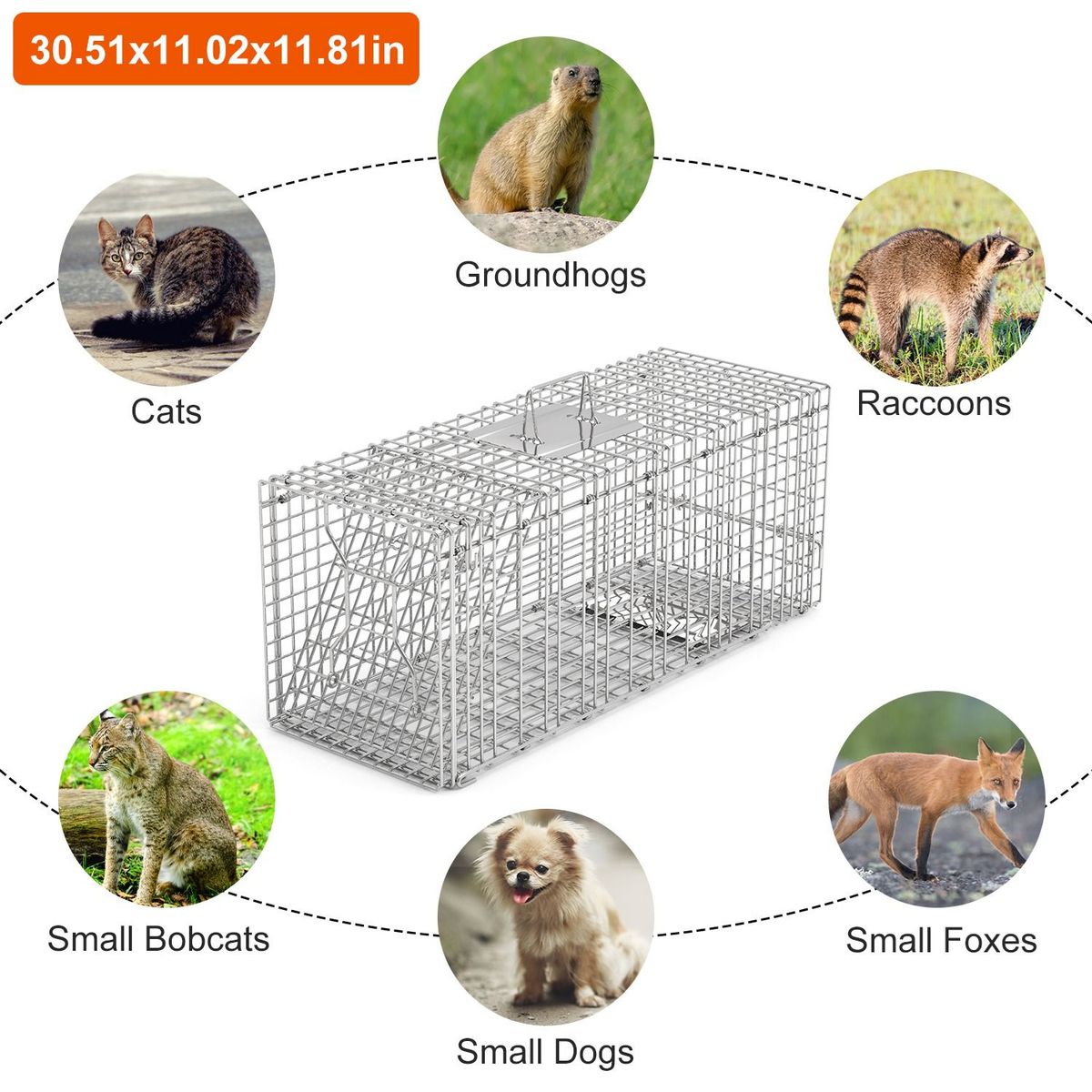 Humane Cat Trap Cage Catch Release Live Animal Rodent Cage Collapsible Galvanized Wire For Raccoons Beavers Groundhogs Foxes Armadillos_maomaolike.com