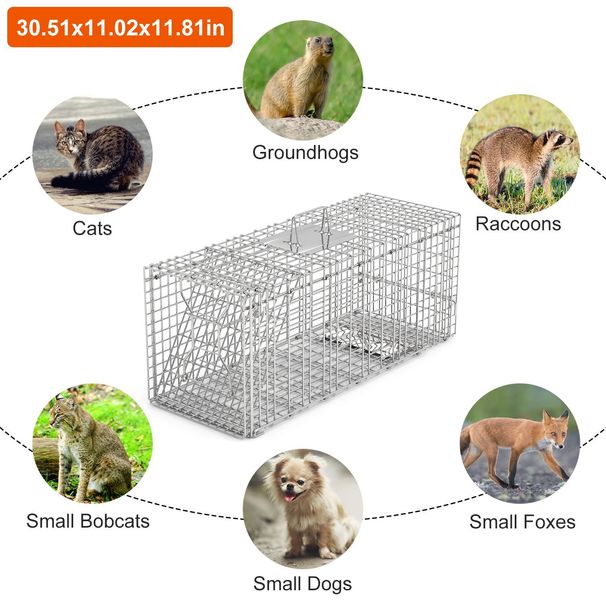 Humane Cat Trap Cage Catch Release Live Animal Rodent Cage Collapsible Galvanized Wire For Raccoons Beavers Groundhogs Foxes Armadillos_maomaolike.com