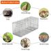 Humane Cat Trap Cage Catch Release Live Animal Rodent Cage Collapsible Galvanized Wire For Raccoons Beavers Groundhogs Foxes Armadillos_maomaolike.com