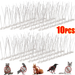Stainess Stee Pigeon Squirre Repeer Deterrent Nai Toos Contro Pest Bird Spikes For Roof Fence Bacony Window_maomaolike.com