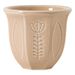 6-piece Set Of Embossed Tulips, 100ml Ceramic Espresso Cup_maomaolike.com