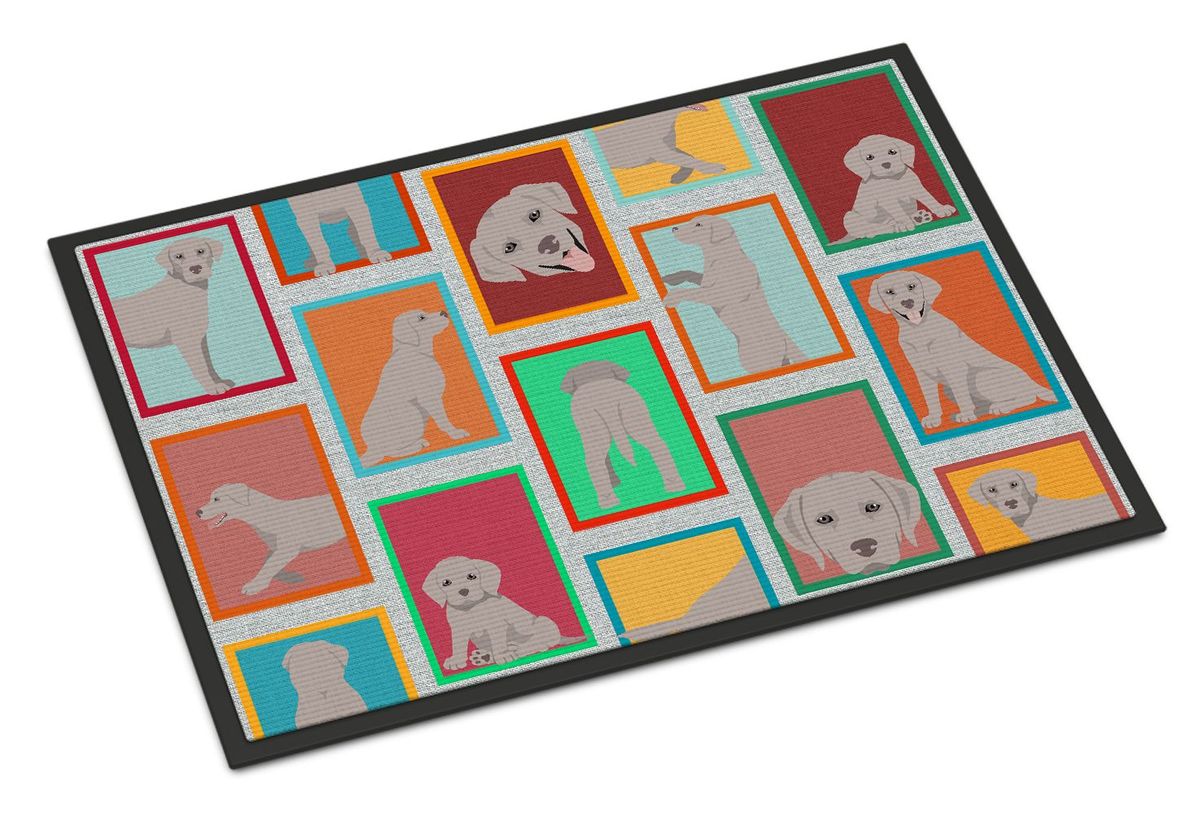 Lots Of Grey Labrador Retriever Doormat Front Door Mat Indoor Outdoor Rugs For Entryway, Non Slip Washable Low Pile, 24H X 36W_maomaolike.com