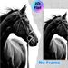 Black Horse Painting Poster, Monochrome Sleek Equine Portrait Poster, Elegant Minimalist Equine Artwork, Suitable For Living Room, Study And_maomaolike.com