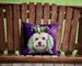 Coton De Tulear King Of Mardi Gras Throw Pillow Machine Washable, Indoor Outdoor Decorative Pillow For Couch, Bed Or Patio, 14Hx14W_maomaolike.com