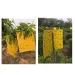 20-50 10x20cm Double-Sided Sticky Traps - Non-Toxic Fly & Bug Catchers, Durable Yellow Polypropylene Boards For_maomaolike.com