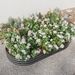 Raised Garden Bed Outdoor, Oval Large Metal Raised Planter Bed For For Plants, Vegetables, And Flowers - Black_maomaolike.com