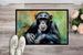 Chimpanzee Doormat Front Door Mat Indoor Outdoor Rugs For Entryway, Non Slip Washable Low Pile, 24H X 36W_maomaolike.com