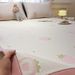 Wholesale A-Class Ethylene PE Cartoon Cool Washable Cooling Three-Piece Set Non-Slip Foldable Soft Bed Sheet Air Conditioning Mat_maomaolike.com