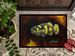 Bumblebee Fish Doormat Front Door Mat Indoor Outdoor Rugs For Entryway, Non Slip Washable Low Pile, 24H X 36W_maomaolike.com