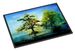 Cypress Tree In The Bayou Blue Doormat Front Door Mat Indoor Outdoor Rugs For Entryway, Non Slip Washable Low Pile, 24H X 36W_maomaolike.com
