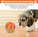 Pet Ball For Dogs, Interactive Dog Toy Durable Automatic Rolling Ball With Led Flash Lights For Small Meduium Large Dogs Breed, Wicked Ball With Motion Activat BPA-Free USB Rechargeable_maomaolike.com