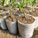 Biodegradable Nonwoven Fabric Nursery Plant Grow Bags Seedling Growing Planter Planting Pots Garden Eco-Friendly Ventilate Bag_maomaolike.com