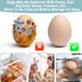 Silicone Egg Brush Cleaner Vegetable Scrubber_maomaolike.com