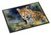 Leopard Doormat Front Door Mat Indoor Outdoor Rugs For Entryway, Non Slip Washable Low Pile, 24H X 36W_maomaolike.com