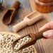 Mini Seasoning Coffee Spoon Tea Spoon Salt Spoon_maomaolike.com