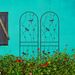 2 Pack Metal Garden Trellis 71" X 19.7" Rustproof Trellis For Climbing Plants Outdoor Flower Support Dragonfly Deco Black_maomaolike.com