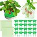 8Pcs Strawberry Planting Kit With 20Pcs Insect-proof Mesh Bag Reusable Strawberry Growing Racks Frame Protecting Strawberry Plants_maomaolike.com