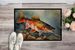 Brook Trout Doormat Front Door Mat Indoor Outdoor Rugs For Entryway, Non Slip Washable Low Pile, 24H X 36W_maomaolike.com