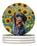 German Wirehaired Pointer In Sunflowers Large Sandstone Coasters Pack Of 4 Absorbent Round Coasters Decor Gifts For Men Or Women, 4 In, Multicolor_maomaolike.com