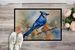 Blue Jay Doormat Front Door Mat Indoor Outdoor Rugs For Entryway, Non Slip Washable Low Pile, 24H X 36W_maomaolike.com