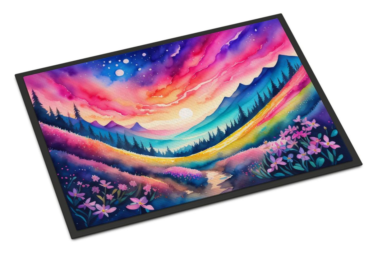 Phlox In Color Doormat Front Door Mat Indoor Outdoor Rugs For Entryway, Non Slip Washable Low Pile, 24H X 36W_maomaolike.com
