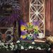Jack Russell Terrier King Of Mardi Gras Throw Pillow Machine Washable, Indoor Outdoor Decorative Pillow For Couch, Bed Or Patio, 18Hx18W_maomaolike.com