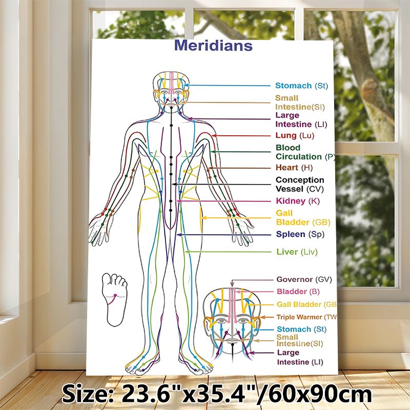 Meridian Chart Painting Poster, Clear Color-coded Human Meridian Map Poster, Informative Reference For Traditional Chinese Medicine Learning, Suitable_maomaolike.com